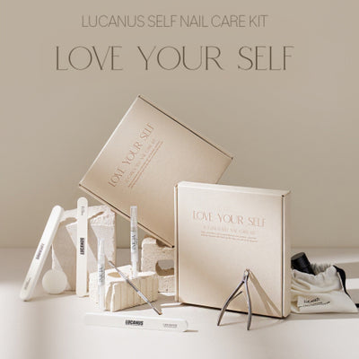 N.O.T.D Special Edition